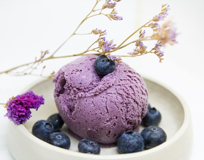Frozen Happiness - Blueberry